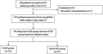 Postoperative serum myoglobin as a predictor of early allograft dysfunction after liver transplantation